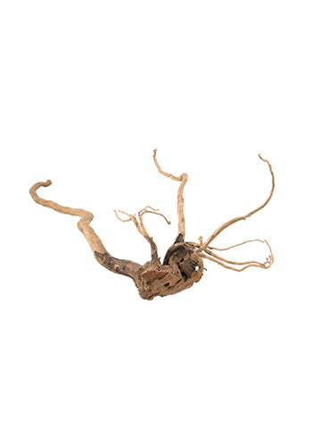 PURE Natural Wood Ornaments