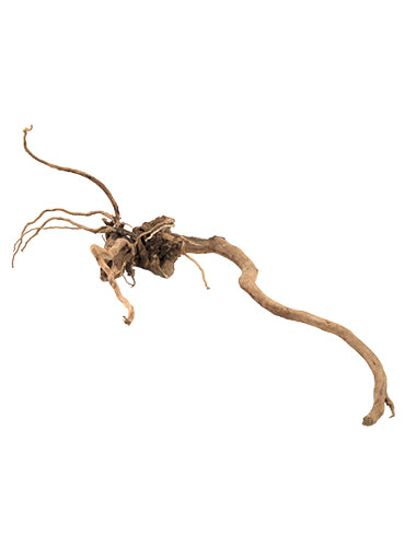 PURE Natural Wood Ornaments