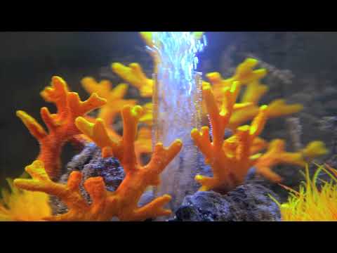 Carica e riproduci video in Gallery Viewer, biOrb Tube 30 Nero
