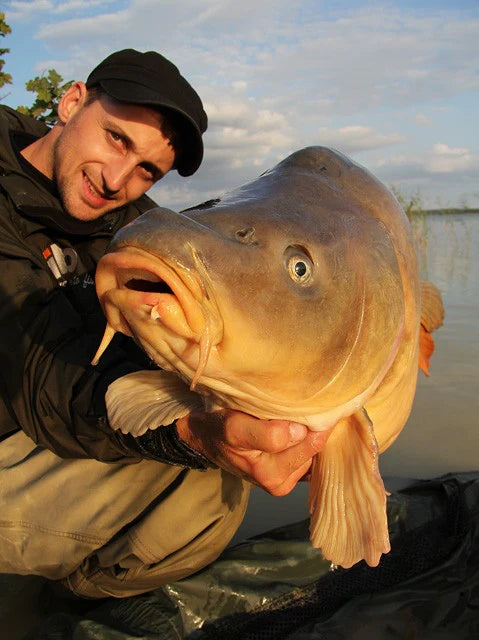 Chargez l'image dans la visionneuse de la galerie, IB Carptrack Amino Pellets
