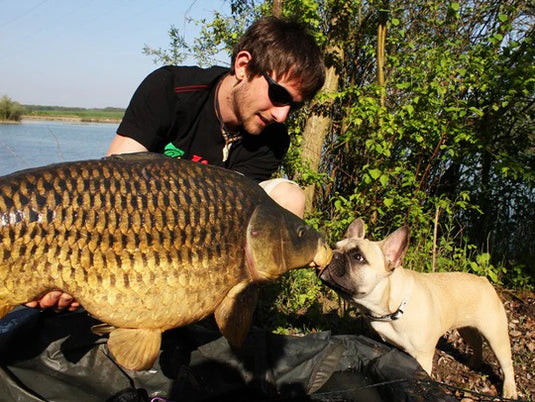 IB Carptrack Amino Pellets