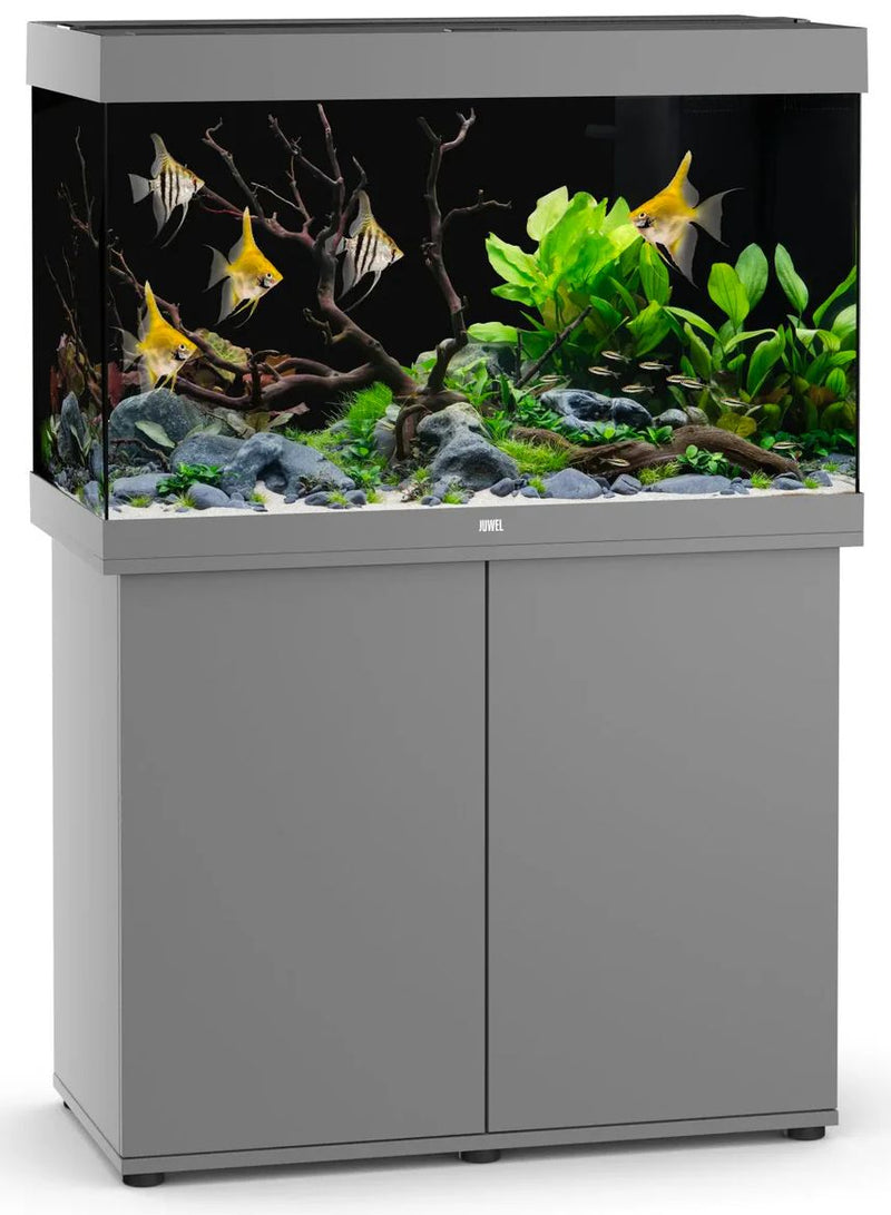 Carica immagine in Galleria Viewer, JUWEL RIO 240 LED Grigio

