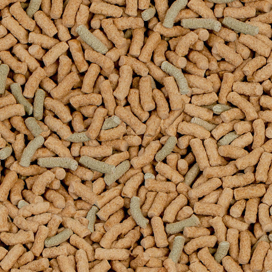 Sera Raffy P Nature Alimento completo per tartarughe acquatiche