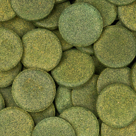 Sera Pleco Tabs XL - Mangime per Loricaridi con Spirulina 20%
