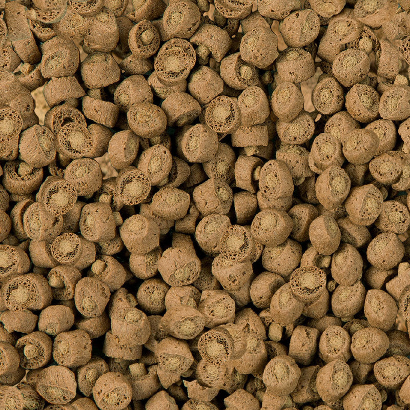 Carica immagine in Galleria Viewer, Sera Turtle Royal Snack
