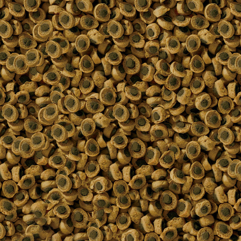 Carica immagine in Galleria Viewer, Sera Reptil Professional Herbivor Nature - Mangime per Rettili Erbivori
