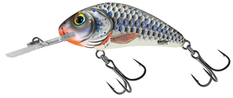 Laden Sie das Bild in Galerie -Viewer, Salmo Rattlin Hornet Floating 5,5cm
