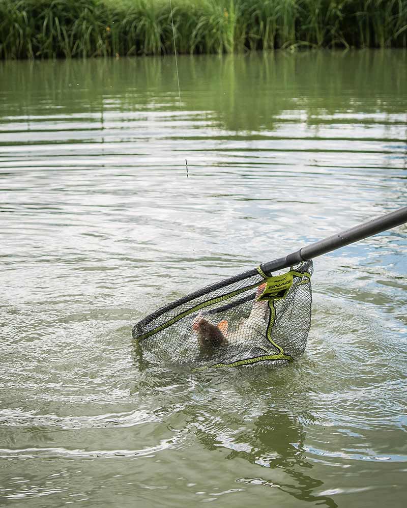 Chargez l'image dans la visionneuse de la galerie, Matrix Snag Free Landing Net - Testa per Guadino Anti-Strappo
